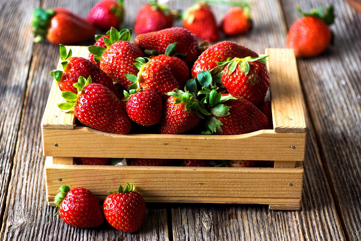 O morango é uma fruta deliciosa capaz de agregar muitos benefícios para a saúde - Reprodução AdobeStock