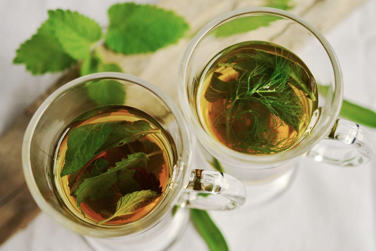 benefícios do chá de sálvia - Reprodução Canva