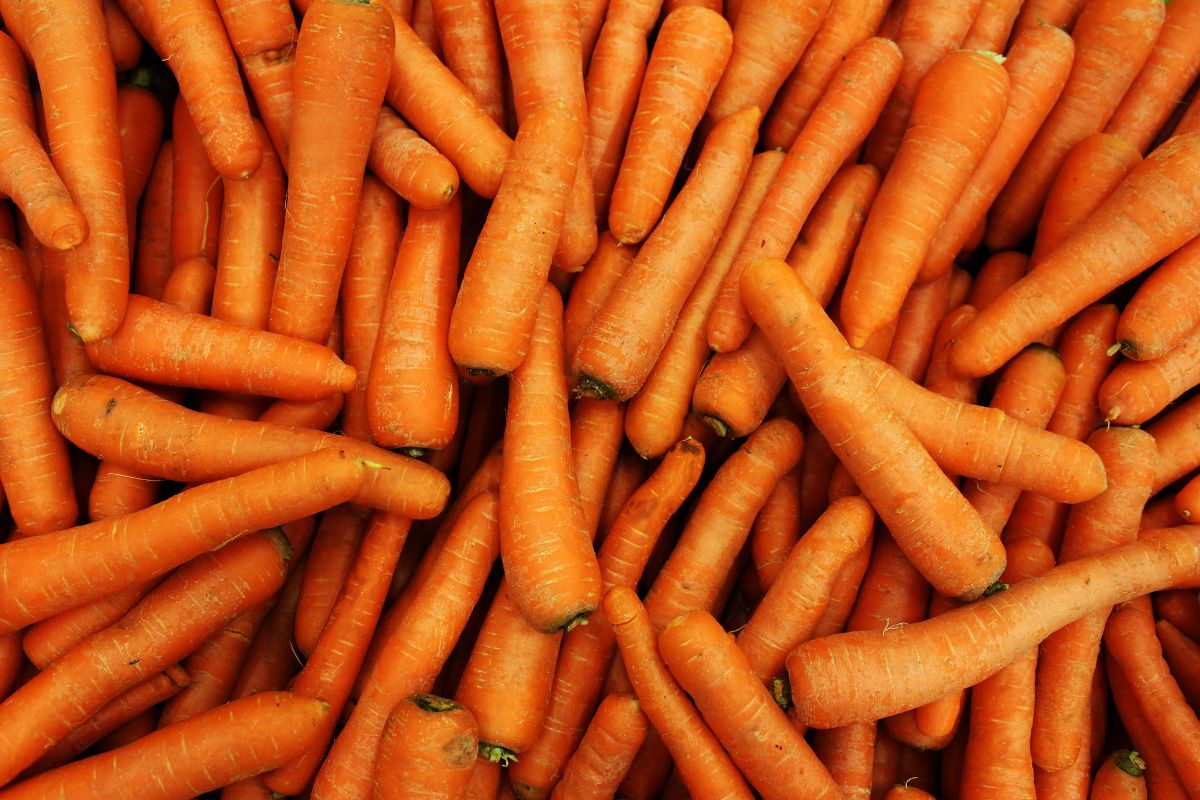 comer cenoura com brotos - Reprodução Canva