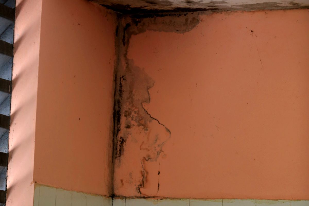 mofo no teto do banheiro - Reprodução Canva