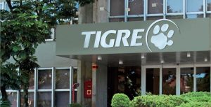 Trabalhar no Grupo Tigre é uma grande chance para começar uma carreira internacional. 