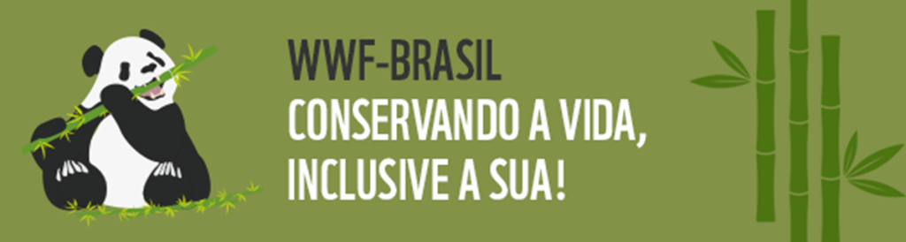 Seja parte da mudança: WWF-Brasil abre vagas para trabalho remoto