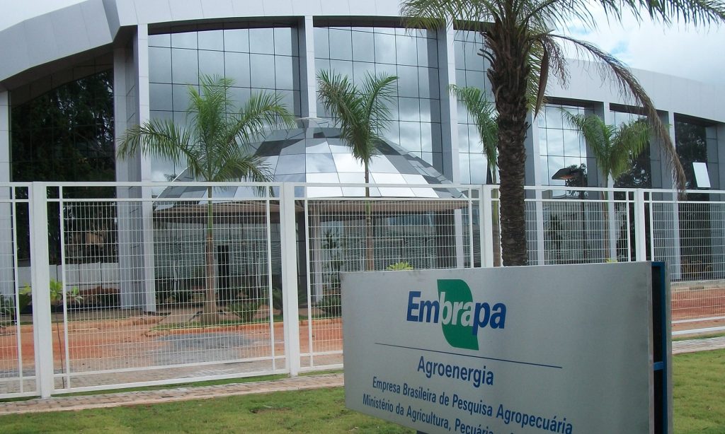 Vem aí: edital do Concurso Embrapa com mais de mil oportunidades!