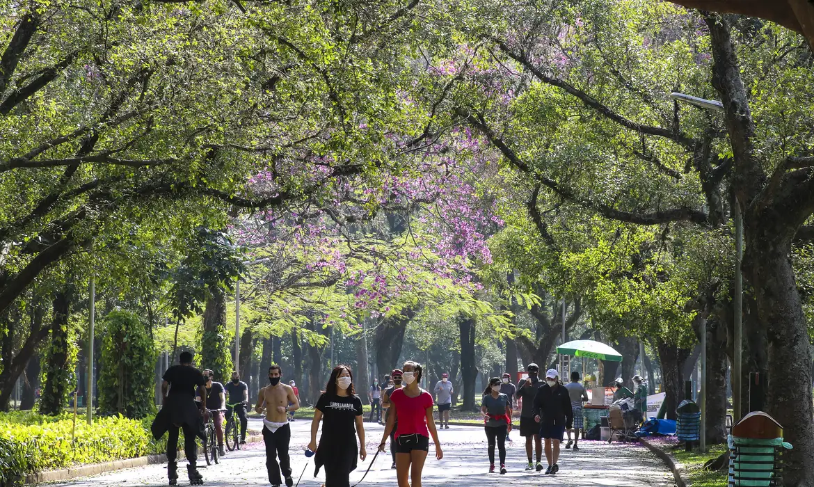 Joinville Também Oferece Inúmeras Opções de Atividades Recreativas Para Aproveitar Seu Tempo Livre. Imagem: Agência Brasil.